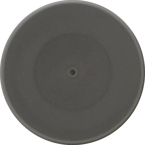 Sprayway Water-Based Stainless Steel Cleaner, 15 Fl Oz (Pack of 1)