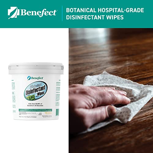 Benefect Botanical Disinfecting Wipes (250 Wipe Count)