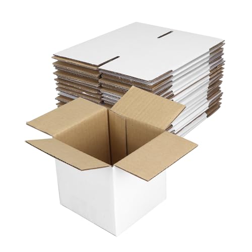 White Corrugated Cardboard Box (Set of 25)