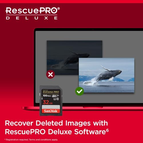 [32 / 64 / 128 / 256 / 512GB / 1TB] Extreme PRO SDHC UHS-I Memory Card - C10, U3, V30, 4K UHD, SD Card