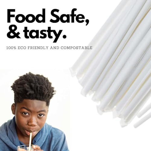 [300 CT] 8mm Paper Straws Bulk Pack-large Individually Paper Wrapped