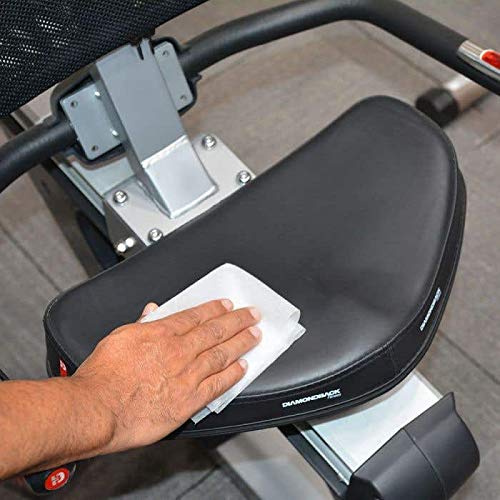 Benefect Botanical Disinfecting Wipes (250 Wipe Count)