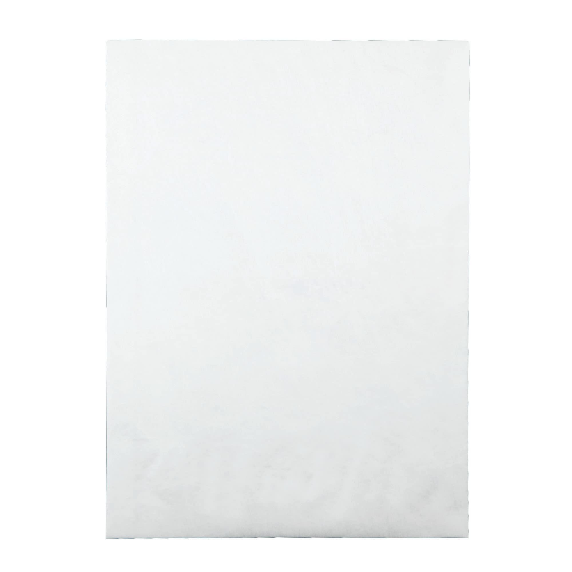[25 Pack] Survivor Lightweight 14 lb Tyvek Open End 1.5" Expansion Mailers, 10 x 13