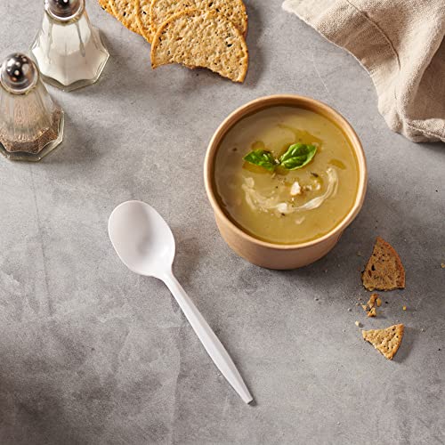 [1000 PCS] Plastic Disposable Soup Spoons Bulk, Black & White