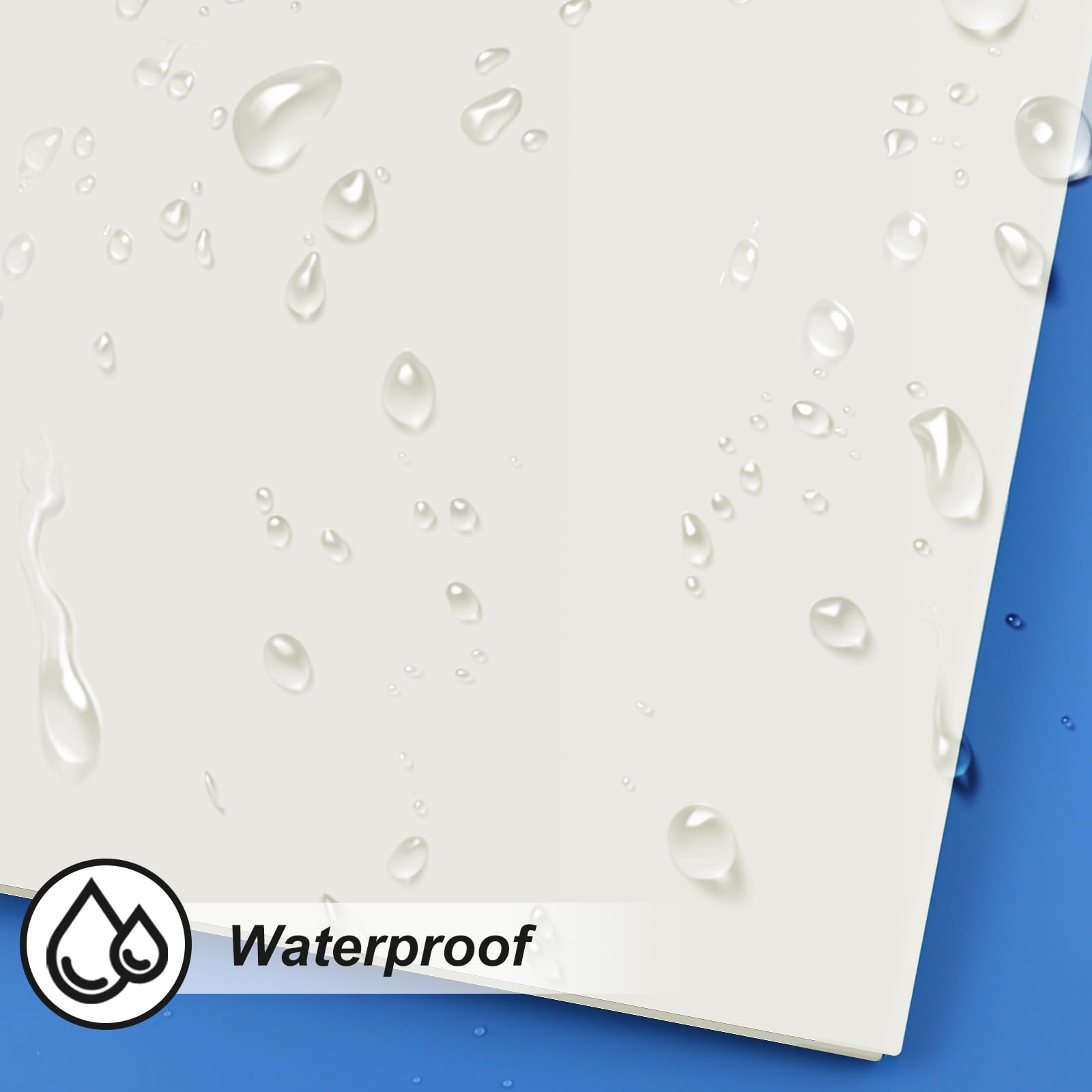 [6 & 60 Pack] ViVin Heavy Duty Folders with Clear Front Pocket, Plastic Folder with fastener