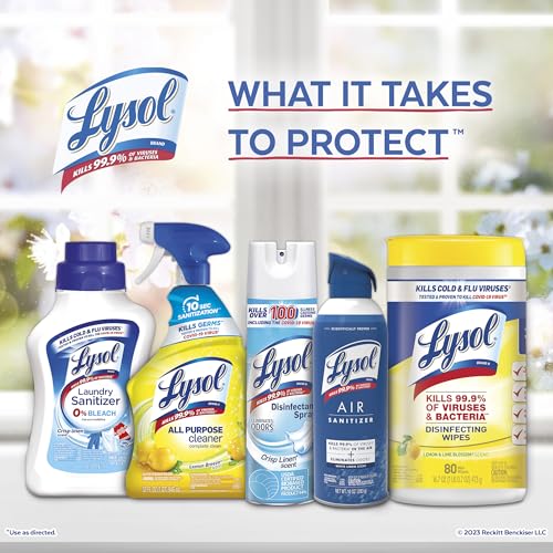 Lysol Disinfectant, Sanitizing and Antibacterial Spray, Crisp Linen, 19 Fl. Oz (Pack of 2)