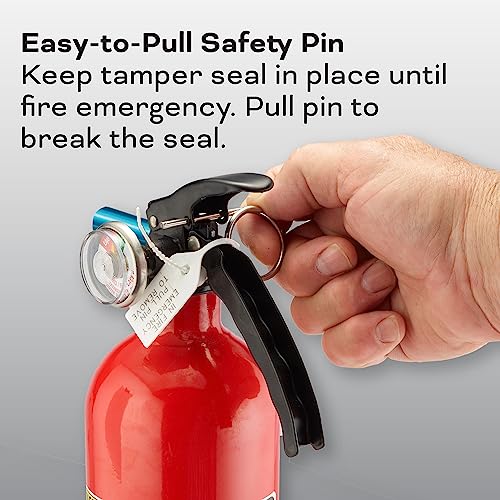 Kidde Fire Extinguisher, 5-B:C, 3.2 Lbs., USCG Approved with Strap Bracket (Included)