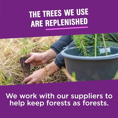 Vanity Fair Everyday Extra Absorbent Premium Paper Napkin, 960 Count