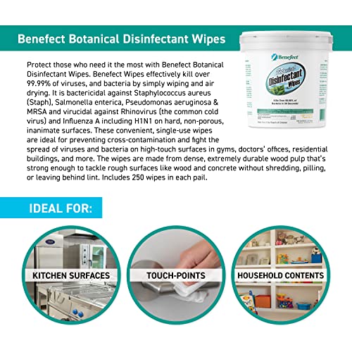 Benefect Botanical Disinfecting Wipes (250 Wipe Count)