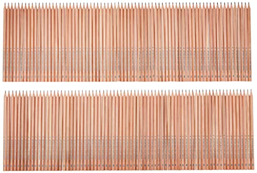 Woodcased #2 Pencils, Pre-Sharpened, 100 Pack