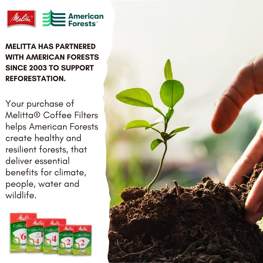 [480 Count] #4 BAMBOO Cone Coffee Filters for 8 to 12 Cup Cone-style Coffee Maker, 80 Counts x 6 Boxes