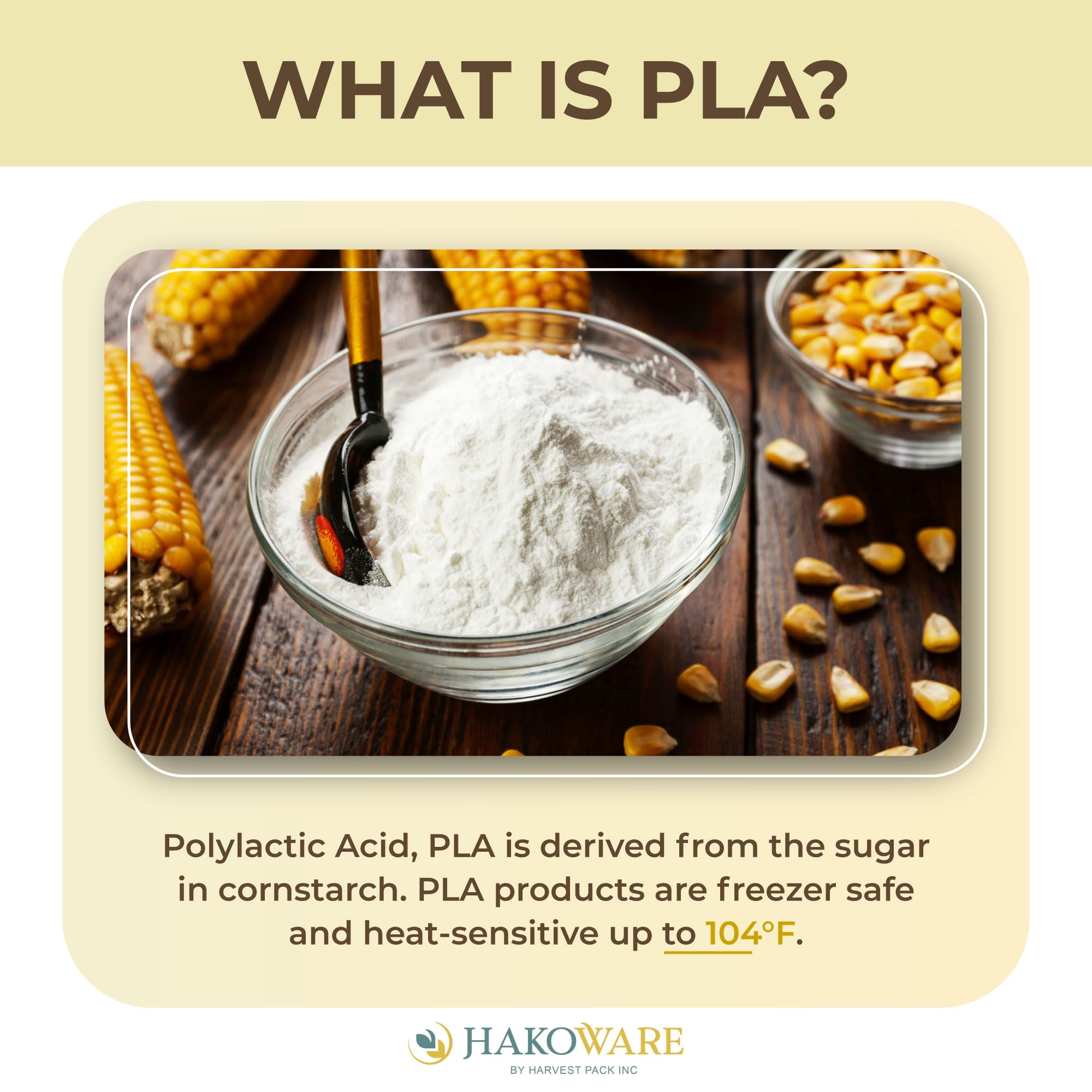 [600 PCS] Disposable Large Asian Soup Spoons with Hook