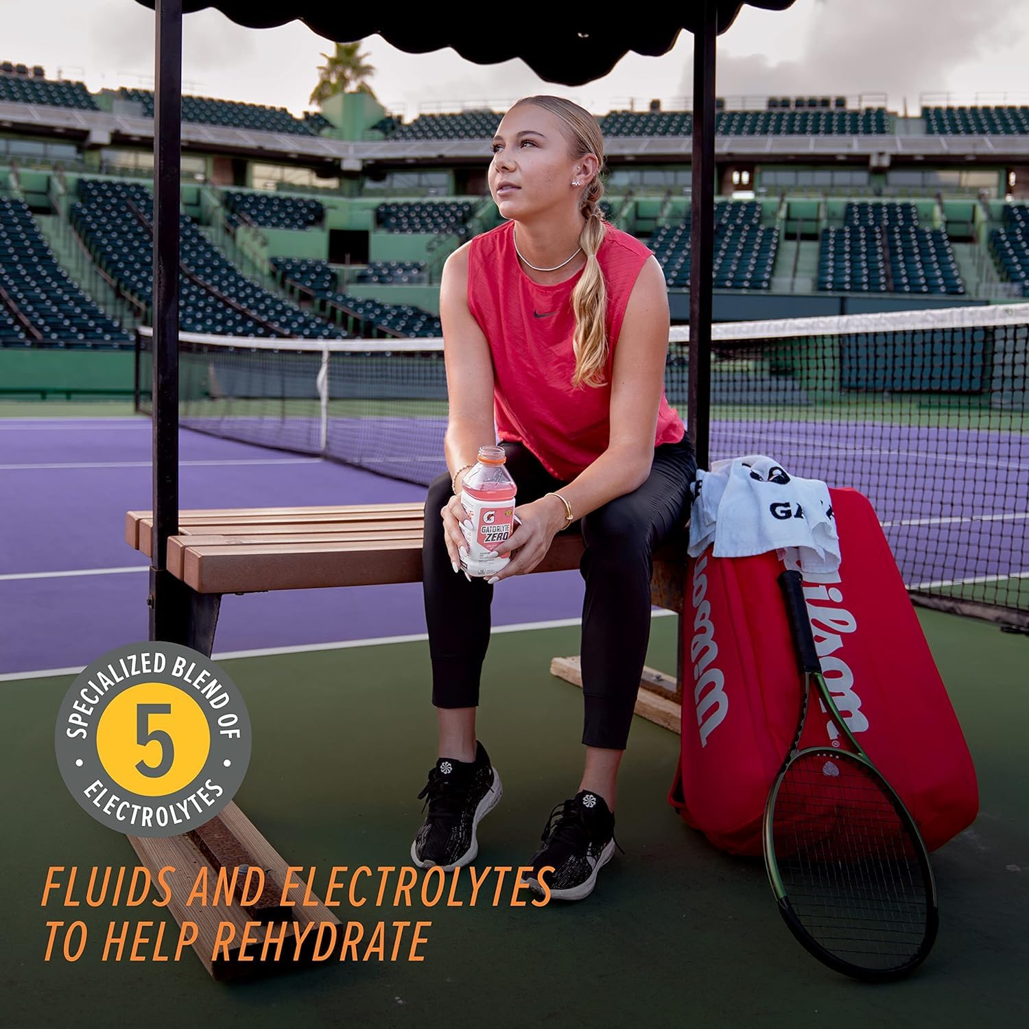 [12 Bottles] Gatorlyte Zero, Fruit Punch, Zero Sugar Hydration, 20 Fl Oz