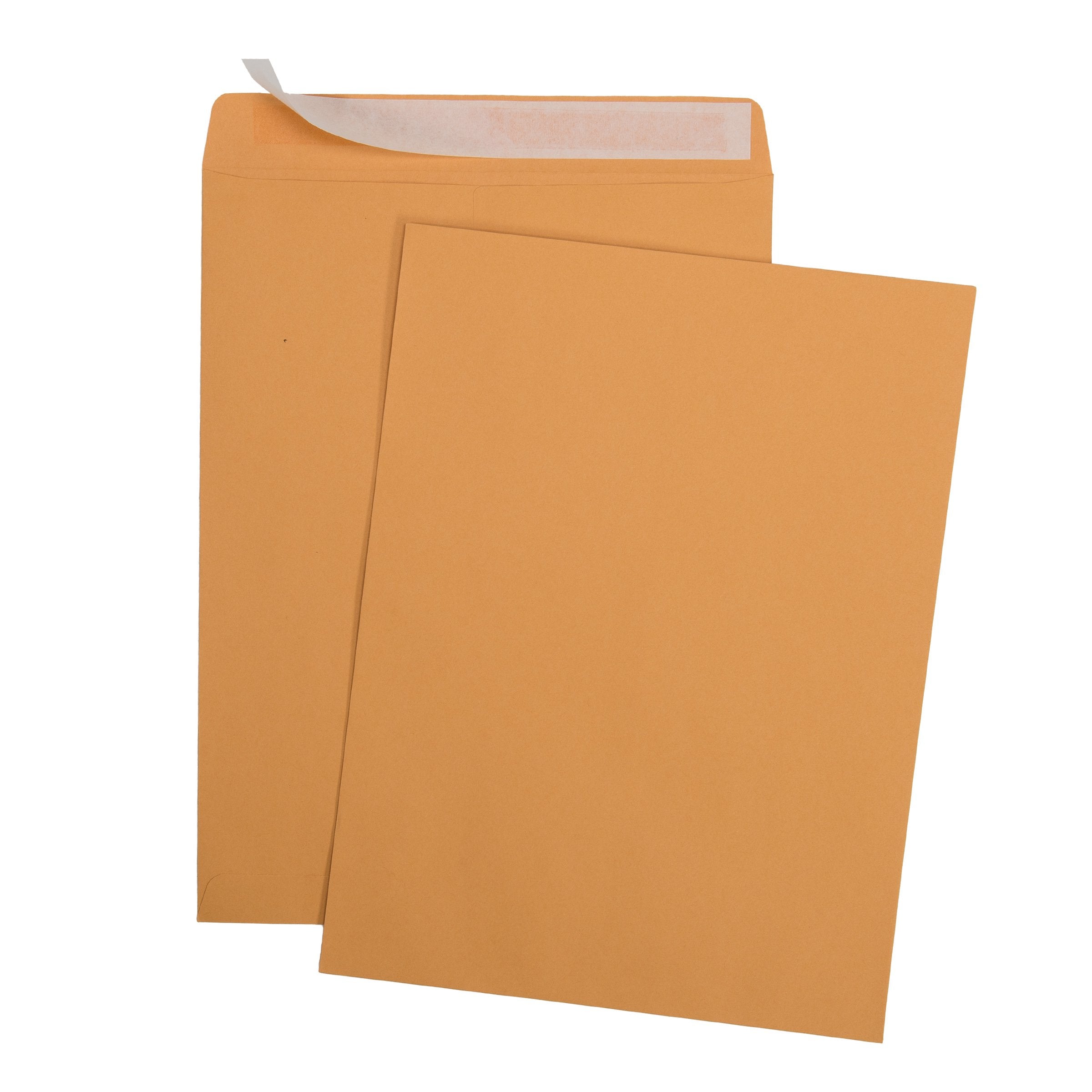 [100 Pack] 9 X 12 Self-Seal Brown Kraft Catalog Mailing Envelopes - 28lb