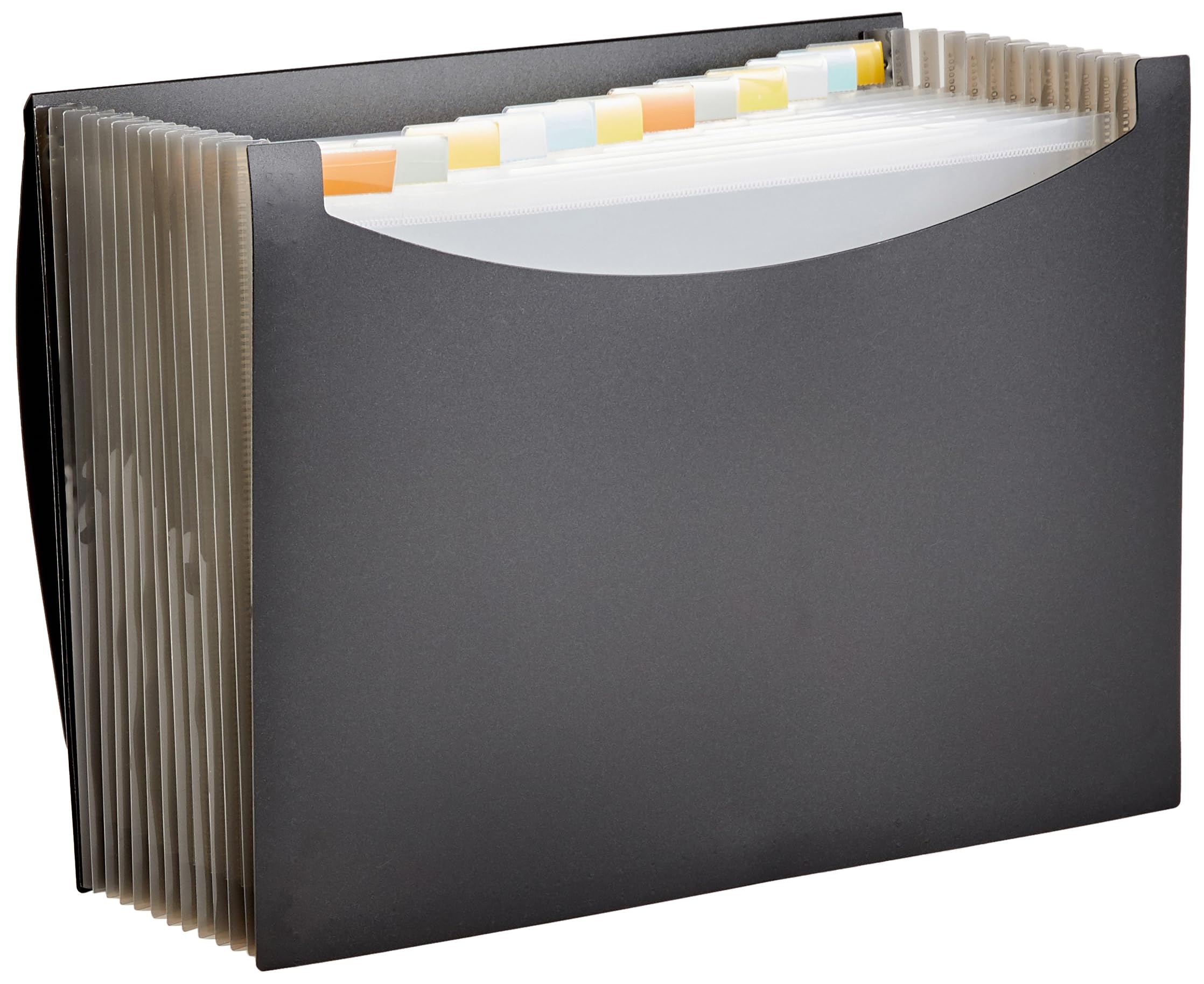 Amazon Basics Expanding Organizer File Folder, Letter Size - Black, 1 or 2 Pack