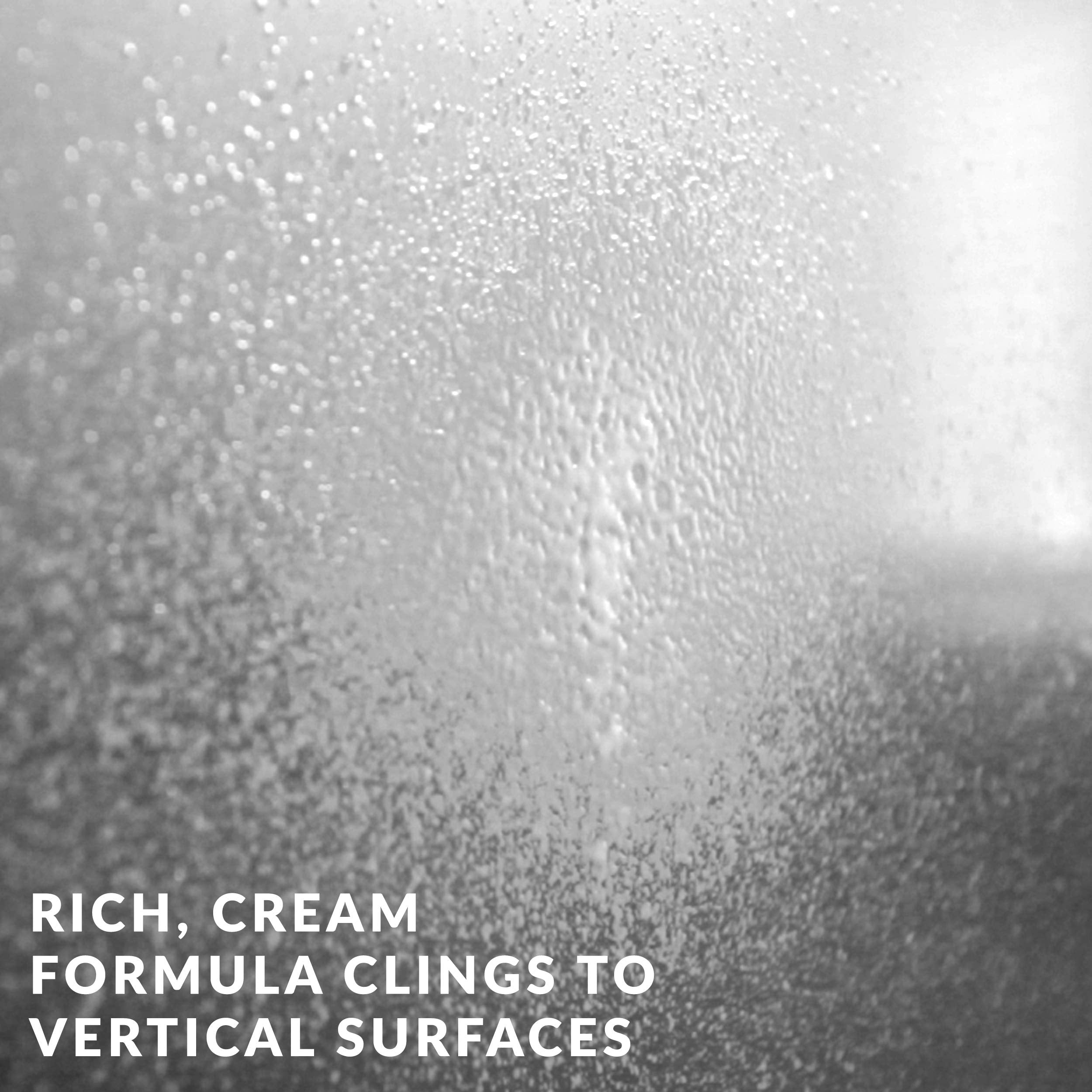 HOPE'S Perfect Stainless Steel Cleaner, 22-Ounce, Streak-Free Self-Polishing Formula