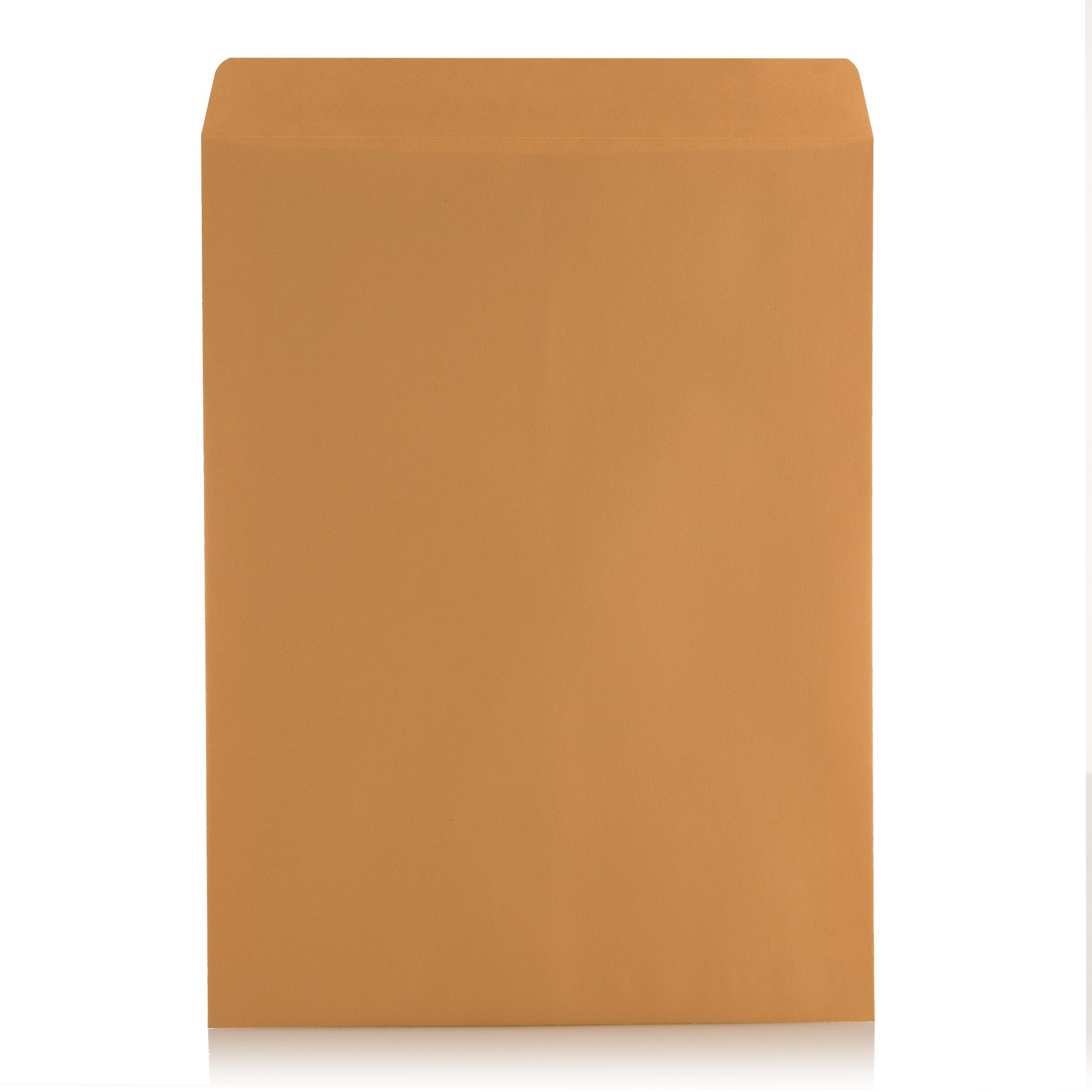 [100 Pack] 9 X 12 Self-Seal Brown Kraft Catalog Mailing Envelopes - 28lb