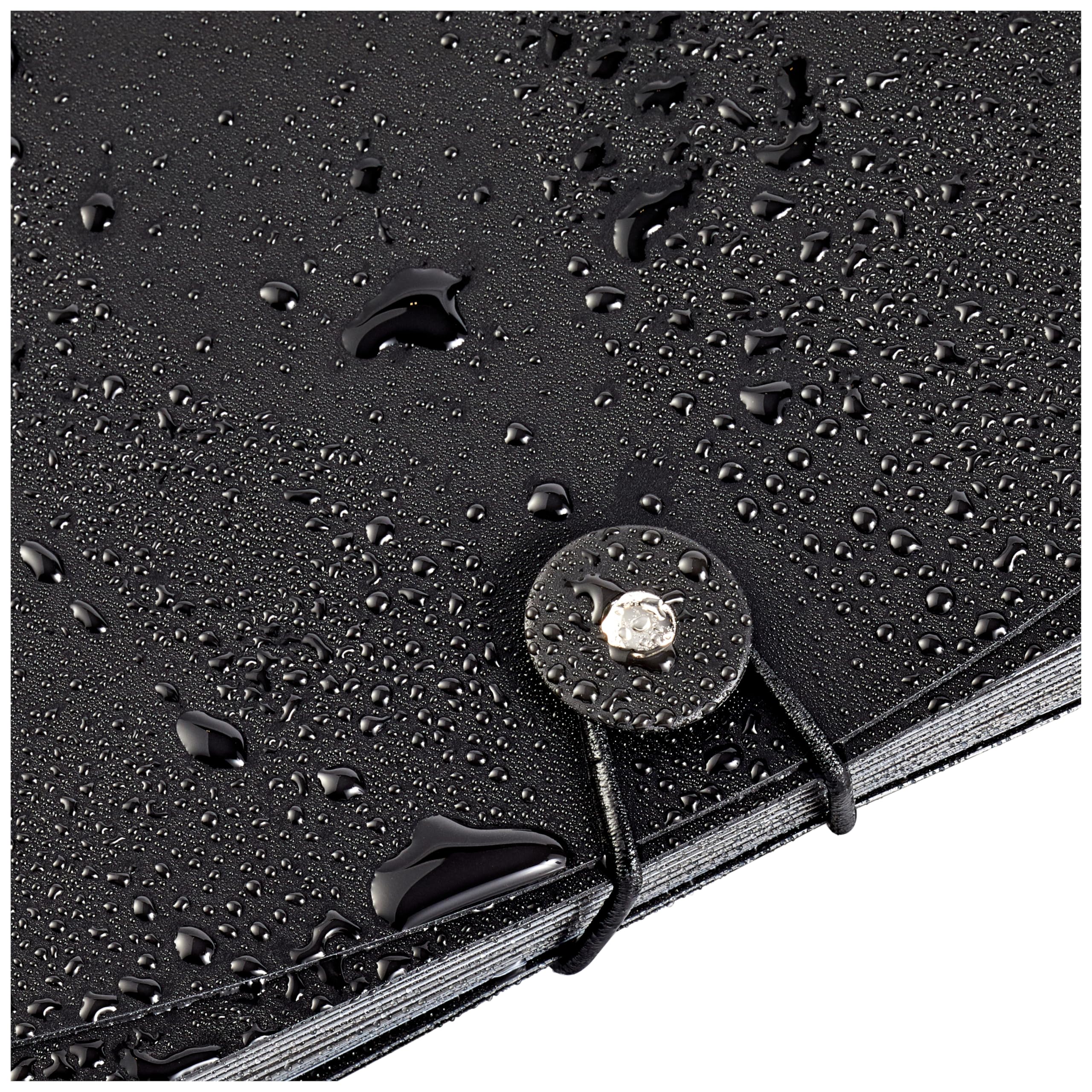 Amazon Basics Expanding Organizer File Folder, Letter Size - Black, 1 or 2 Pack